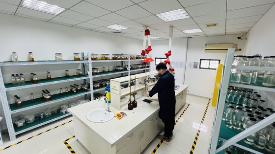 Résine époxy isolante électrique à haute résistance diélectrique pour composants électroniques